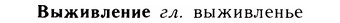 05-183_1037_%D0%92%D1%8B%D0%B6%D0%B8%D0%B2%D0%BB%D0%B5%D0%BD%D0%B8%D0%B5.jpg