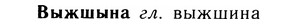 05-185_1052_%D0%92%D1%8B%D0%B6%D1%88%D1%8B%D0%BD%D0%B0.jpg
