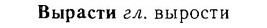 06-063_0294_%D0%92%D1%8B%D1%80%D0%B0%D1%81%D1%82%D0%B8.jpg