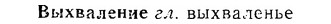 06-179_0890_%D0%92%D1%8B%D1%85%D0%B2%D0%B0%D0%BB%D0%B5%D0%BD%D0%B8%D0%B5.jpg