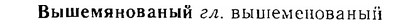 06-209_1012_%D0%92%D1%8B%D1%88%D0%B5%D0%BC%D1%8F%D0%BD%D0%BE%D0%B2%D0%B0%D0%BD%D1%8B%D0%B9.jpg