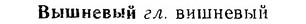 06-214_1046_%D0%92%D1%8B%D1%88%D0%BD%D0%B5%D0%B2%D1%8B%D0%B9.jpg