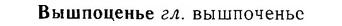 06-218_1063_%D0%92%D1%8B%D1%88%D0%BF%D0%BE%D1%86%D0%B5%D0%BD%D1%8C%D0%B5.jpg