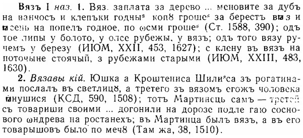 06-230_1171_%D0%92%D1%8F%D0%B7%D1%8A.jpg