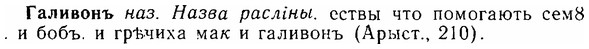 06-246_1270_%D0%93%D0%B0%D0%BB%D0%B8%D0%B2%D0%BE%D0%BD%D1%8A.jpg
