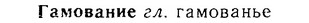 06-247_1288_%D0%93%D0%B0%D0%BC%D0%BE%D0%B2%D0%B0%D0%BD%D0%B8%D0%B5.jpg