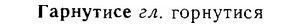 06-255_1361_%D0%93%D0%B0%D1%80%D0%BD%D1%83%D1%82%D0%B8%D1%81%D0%B5.jpg