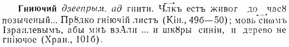 07-013_0049_%D0%93%D0%BD%D0%B8%D1%8E%D1%87%D0%B8%D0%B9.jpg