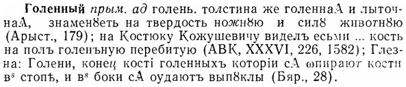 07-032_0151_%D0%93%D0%BE%D0%BB%D0%B5%D0%BD%D0%BD%D1%8B%D0%B9.jpg