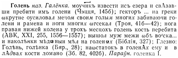 07-032_0152_%D0%93%D0%BE%D0%BB%D0%B5%D0%BD%D1%8C.jpg