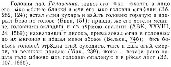 07-040_0174_%D0%93%D0%BE%D0%BB%D0%BE%D0%B2%D0%BD%D1%8F.jpg