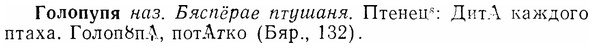 07-044_0194_%D0%93%D0%BE%D0%BB%D0%BE%D0%BF%D1%83%D0%BF%D1%8F.jpg