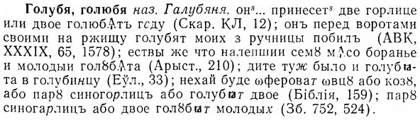 07-051_0229_%D0%93%D0%BE%D0%BB%D1%83%D0%B1%D1%8F.jpg