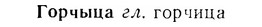 07-095_0450_%D0%93%D0%BE%D1%80%D1%87%D1%8B%D1%86%D0%B0.jpg