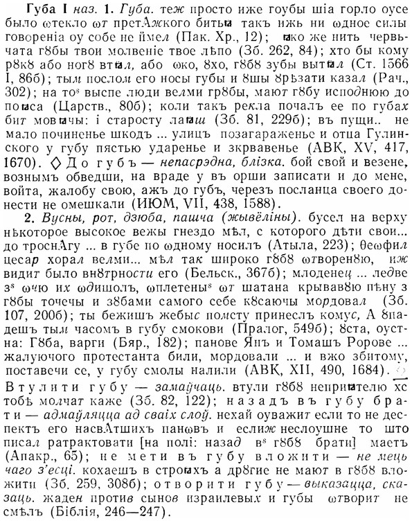 07-187_0919_%D0%93%D1%83%D0%B1%D0%B0.jpg