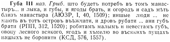 07-188_0921_%D0%93%D1%83%D0%B1%D0%B0.jpg