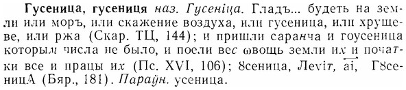 07-201_1001_%D0%93%D1%83%D1%81%D0%B5%D0%BD%D0%B8%D1%86%D0%B0.jpg