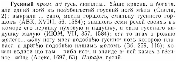 07-201_1004_%D0%93%D1%83%D1%81%D0%B8%D0%BD%D1%8B%D0%B9.jpg