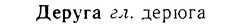 08-061_0290_%D0%94%D0%B5%D1%80%D1%83%D0%B3%D0%B0.jpg