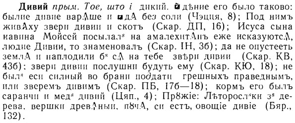 08-085_0472_%D0%94%D0%B8%D0%B2%D0%B8%D0%B9.jpg
