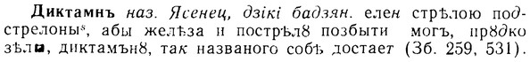08-095_0523_%D0%94%D0%B8%D0%BA%D1%82%D0%B0%D0%BC%D0%BD%D1%8A.jpg