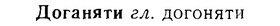 08-183_0879_%D0%94%D0%BE%D0%B3%D0%B0%D0%BD%D1%8F%D1%82%D0%B8.jpg