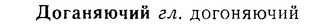 08-183_0880_%D0%94%D0%BE%D0%B3%D0%B0%D0%BD%D1%8F%D1%8E%D1%87%D0%B8%D0%B9.jpg