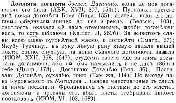 08-191_0913_%D0%94%D0%BE%D0%B3%D0%BE%D0%BD%D1%8F%D1%82%D0%B8.jpg