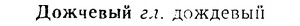 08-203_0960_%D0%94%D0%BE%D0%B6%D1%87%D0%B5%D0%B2%D1%8B%D0%B9.jpg