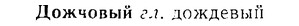 08-203_0962_%D0%94%D0%BE%D0%B6%D1%87%D0%BE%D0%B2%D1%8B%D0%B9.jpg