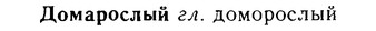 08-274_1236_%D0%94%D0%BE%D0%BC%D0%B0%D1%80%D0%BE%D1%81%D0%BB%D1%8B%D0%B9.jpg