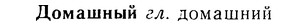 08-275_1239_%D0%94%D0%BE%D0%BC%D0%B0%D1%88%D0%BD%D1%8B%D0%B9.jpg