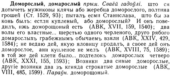 08-285_1284_%D0%94%D0%BE%D0%BC%D0%BE%D1%80%D0%BE%D1%81%D0%BB%D1%8B%D0%B9.jpg