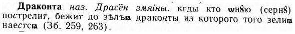 09-063_0374_%D0%94%D1%80%D0%B0%D0%BA%D0%BE%D0%BD%D1%82%D0%B0.jpg