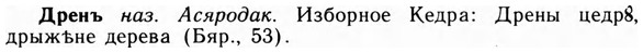 09-073_0438_%D0%94%D1%80%D0%B5%D0%BD%D1%8A.jpg