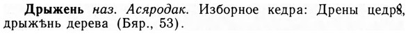 09-091_0552_%D0%94%D1%80%D1%8B%D0%B6%D0%B5%D0%BD%D1%8C.jpg