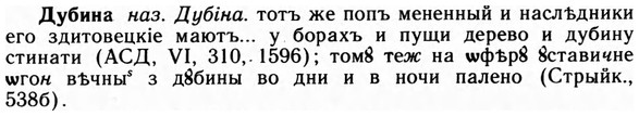 09-093_0571_%D0%94%D1%83%D0%B1%D0%B8%D0%BD%D0%B0.jpg