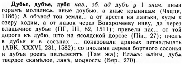 09-096_0587_%D0%94%D1%83%D0%B1%D1%8C%D0%B5.jpg