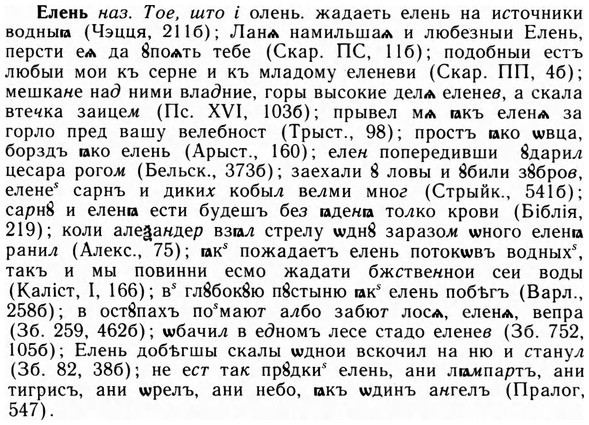 09-200_1286_%D0%95%D0%BB%D0%B5%D0%BD%D1%8C.jpg