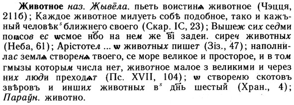 10-019_0083_%D0%96%D0%B8%D0%B2%D0%BE%D1%82%D0%BD%D0%BE%D0%B5.jpg