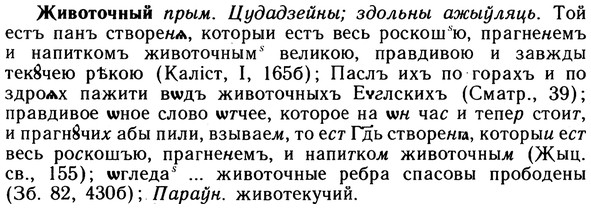 10-020_0085_%D0%96%D0%B8%D0%B2%D0%BE%D1%82%D0%BE%D1%87%D0%BD%D1%8B%D0%B9.jpg