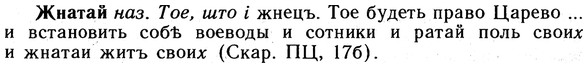 10-043_0169_%D0%96%D0%BD%D0%B0%D1%82%D0%B0%D0%B9.jpg
