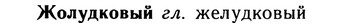 10-048_0214_%D0%96%D0%BE%D0%BB%D1%83%D0%B4%D0%BA%D0%BE%D0%B2%D1%8B%D0%B9.jpg