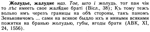 10-049_0217_%D0%96%D0%BE%D0%BB%D1%83%D0%B4%D1%8C%D0%B5.jpg