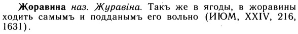 10-052_0241_%D0%96%D0%BE%D1%80%D0%B0%D0%B2%D0%B8%D0%BD%D0%B0.jpg