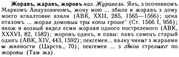10-052_0243_%D0%96%D0%BE%D1%80%D0%B0%D0%B2%D1%8A.jpg