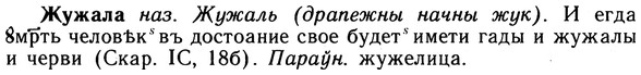 10-055_0271_%D0%96%D1%83%D0%B6%D0%B0%D0%BB%D0%B0.jpg