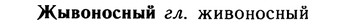 10-058_0294_%D0%96%D1%8B%D0%B2%D0%BE%D0%BD%D0%BE%D1%81%D0%BD%D1%8B%D0%B9.jpg