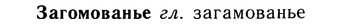 10-165_0900_%D0%97%D0%B0%D0%B3%D0%BE%D0%BC%D0%BE%D0%B2%D0%B0%D0%BD%D1%8C%D0%B5.jpg