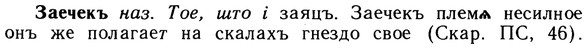 10-207_1106_%D0%97%D0%B0%D0%B5%D1%87%D0%B5%D0%BA%D1%8A.jpg